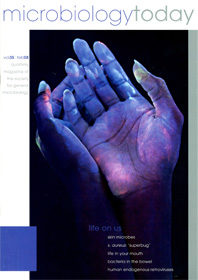 MT February 2008 cover web