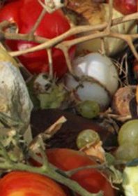 Close up of various fruits, like grapes