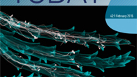 Cover of Microbiology Today, issue of February 2015