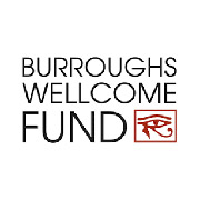 BW Fund logo.jpg