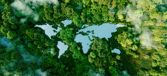 Outline of a world map with the continents surrounded by green forests, instead of oceans.