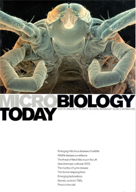 Microbiology Today front cover with a beetle.