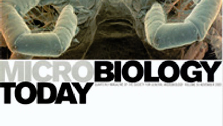 Cover of Microbiology Today, issue of November 2003