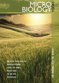 Cover of Microbiology Today, issue of May 2012
