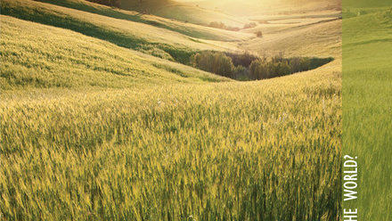 Cover of Microbiology Today, issue of May 2012