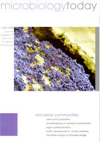 MT February 2005 cover web