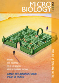 MT0511Cover