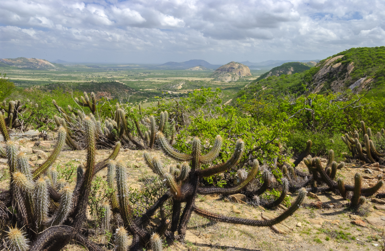 iStock-2170566713 (2).jpg