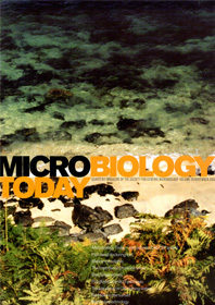 MT November 2002 cover web