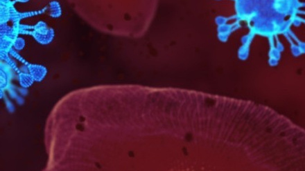 COVID-19 inqiry press release.jpg