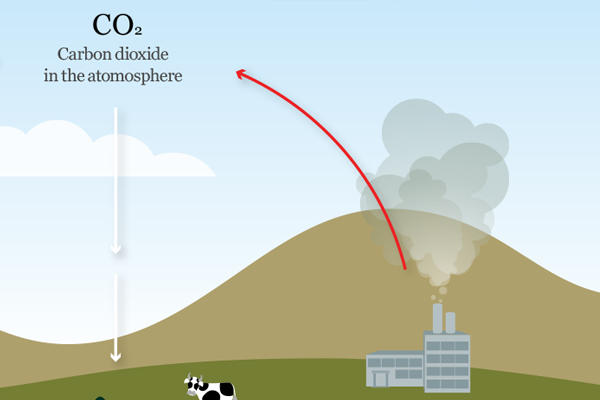 Fossil fuels releasing carbon