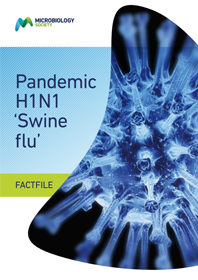 Pandemic-H1N1-swine-flu.jpg 1