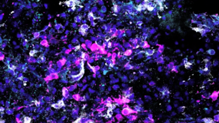 K. Connors Blog Image 3 (1).png