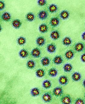 Colourful microscopic image of molecules in the cell.