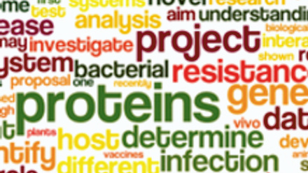 MT May 2016 comment wordle