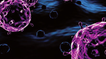 MT Feb 2013 5 Hindle virus