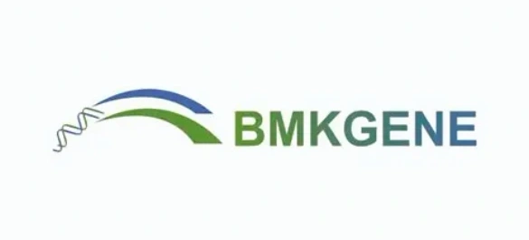 BMK Gene.webp