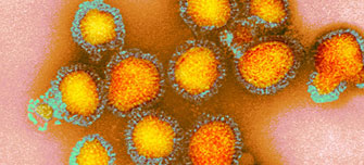Virus-CDC-Science-Photo-Library.jpg