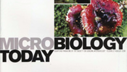 Cover of Microbiology Today, issue of August 2000