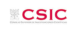 CSIC logo.jpg
