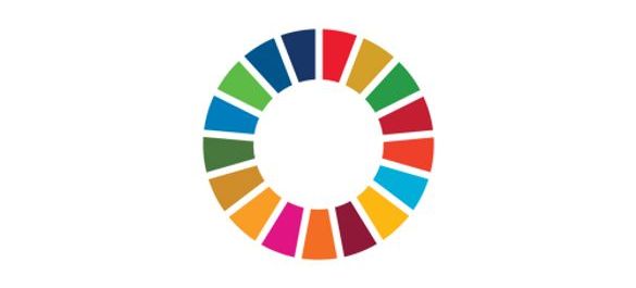 SDG-Wheel.jpg