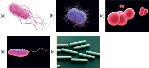 MT Aug 2016 schoolzone 1