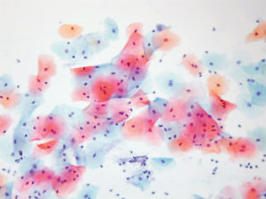 MT Feb 2013 Parish Roberts M8500705