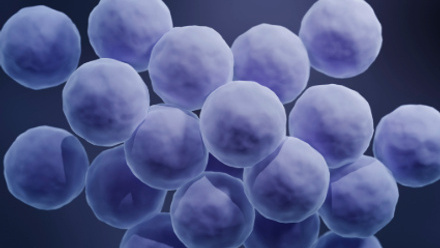 Sylvia blog Thumbnail.jpg