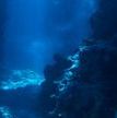underwater-background-at-the-sea-floor-picture-id147269695.jpg