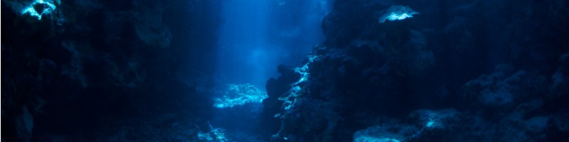 underwater-background-at-the-sea-floor-picture-id147269695.jpg