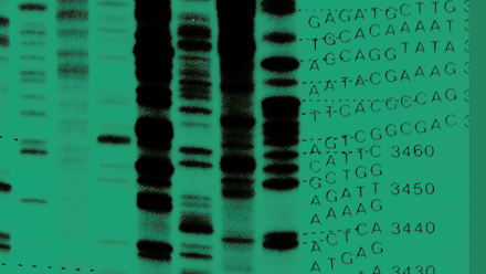 Journals_Thumbnail_MGEN.png 4