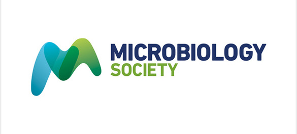 micro.jpg