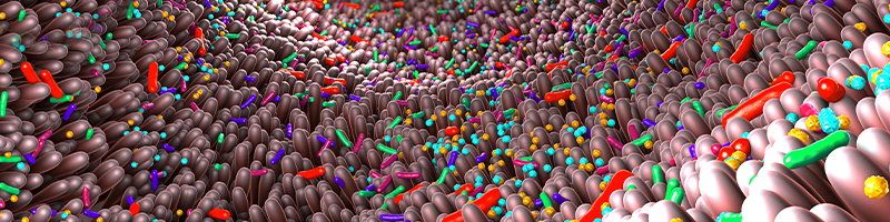 mining microbiome 800x200.png