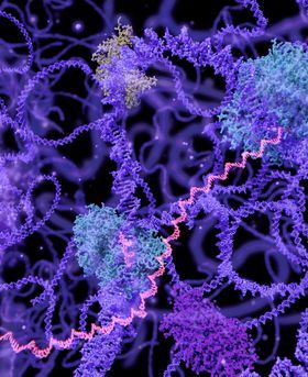 Colourful image of molecules in the cell nucleus during interphase.
