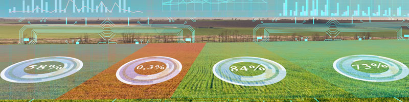 Analysis and processing of data on plant growth in the field. Scheduling and regulation of production to increase harvest. Field sensors and virtual reality to help the farmer.