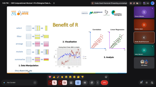 Presentation slide about the 'Benefit of R'