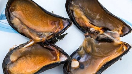 Von Barner Tvedegaard Heim blog thumb.jpg