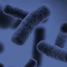 Microbiology Journal branding