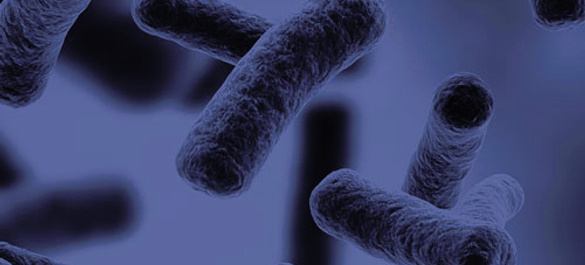 Microbiology Journal branding