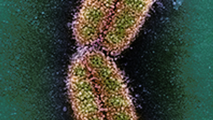 MT-Nov-17-genome-editing-chromosome.jpg