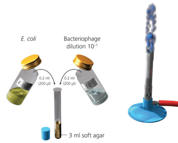 MT Feb 2013 10 Schoolzone Experiment 2