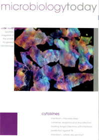 MT November 2007 cover web