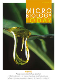 MT Biofuels Nov 2013