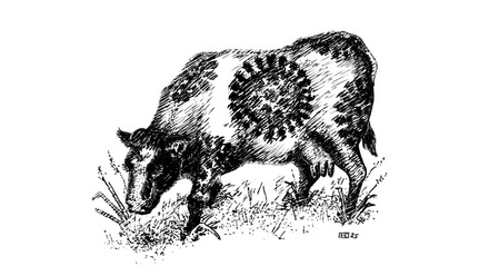 Cow Flu Pen and Ink.jpg