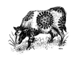 Cow Flu Pen and Ink.jpg