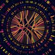 Genomes 425x500.png