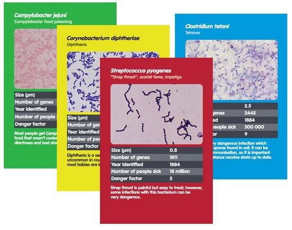 MT Feb 2014 bacterial trumps