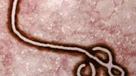Ebola.jpg