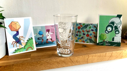 A wooden shelf displaying four illustrated science-themed cards and a pint glass. The glass reads 'PINT OF SCIENCE 2025' and features a brain wearing glasses.