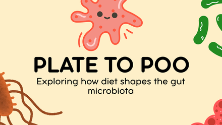 Plate to Poo